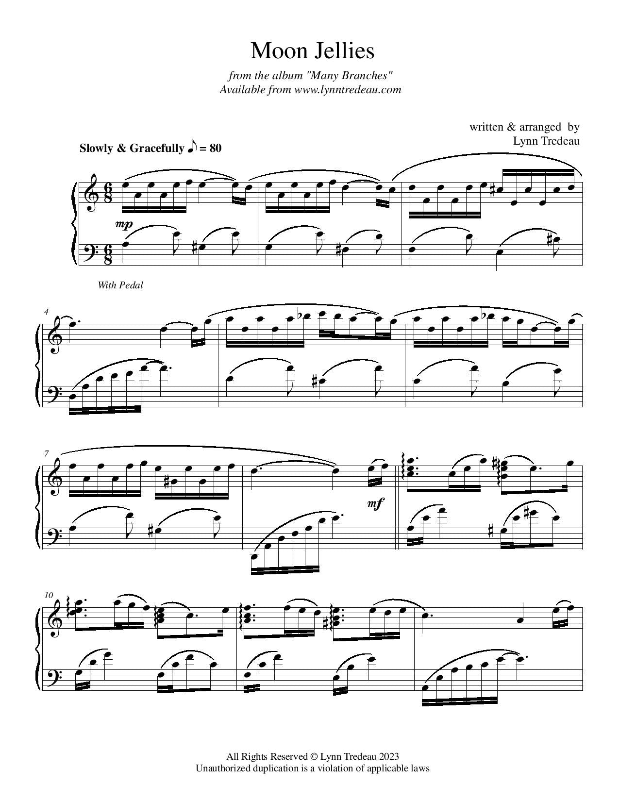 Many Branches-Physical Song Book image 1