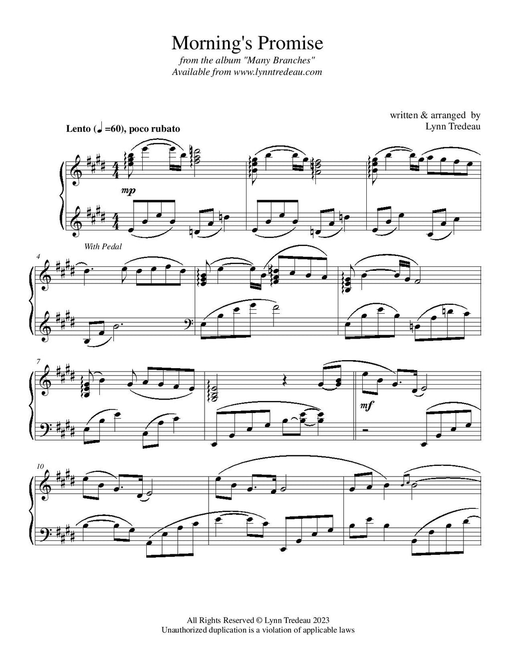 Many Branches-Physical Bundle