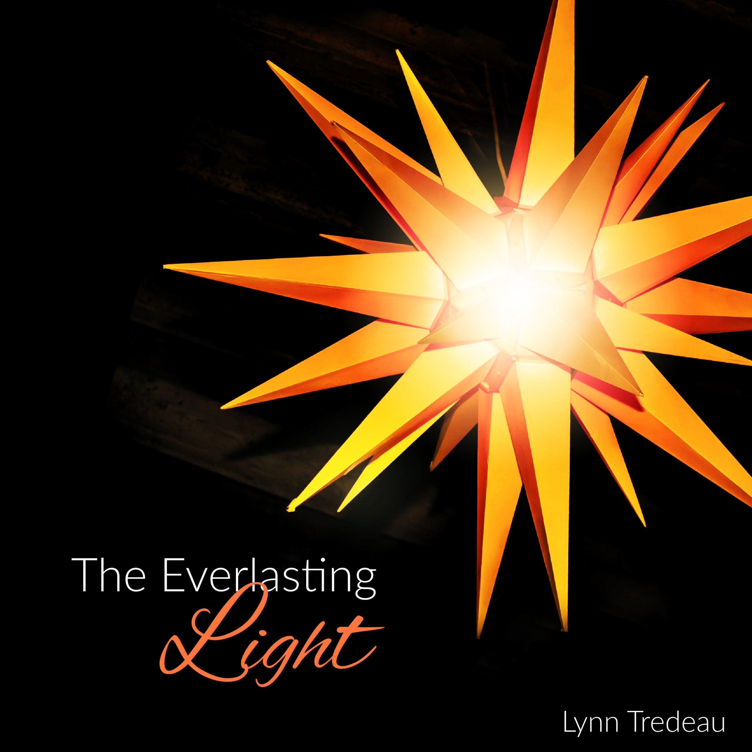 The Everlasting Light -Physical Album image 0
